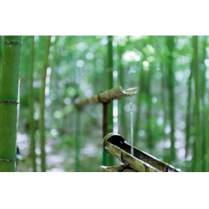 后半生最好的活法：一半在藏，一半在露