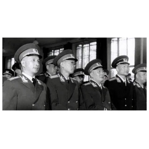 79年衛(wèi)戍區(qū)司令對許世友說：若不是你抗命相幫，我會留下終身遺