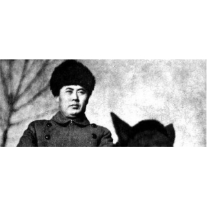 怎樣評(píng)價(jià)傅作義的一生