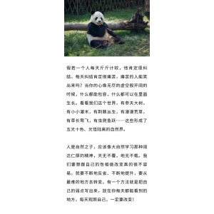不計較，才是真正的愛自己