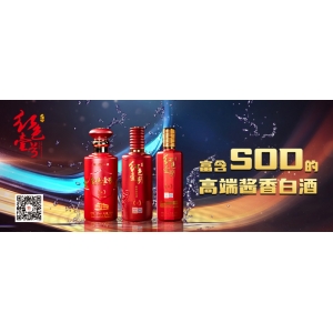 43萬人追蹤研究：主食吃得少，壽命長不了