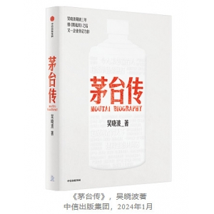 學(xué)騰訊還是學(xué)茅臺(tái)？