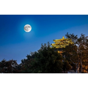 欲邀明月喝一場(chǎng)，醉臥花下又何妨