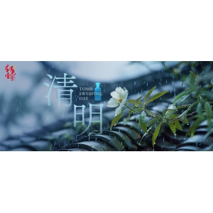 清明寄哀思，攜酒共賞春光好
