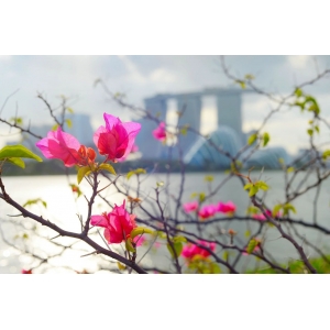 李白最網(wǎng)紅的一首詩，太美了！