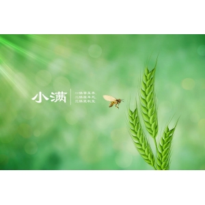 今日小滿｜人生不求太滿，小滿即是圓滿