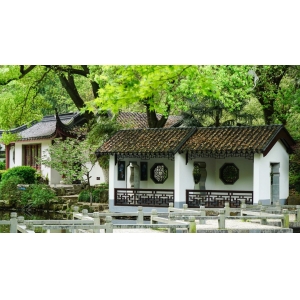 夏日圖鑒，有一院子足矣
