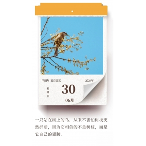 努力提升自己，比依靠他人要更可靠 ???