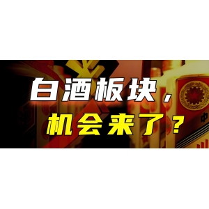 茅臺(tái)上漲8.80%！白酒板塊拉升