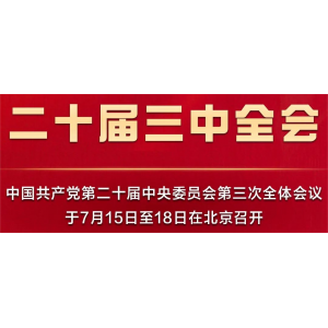 7月15日，人民日報(bào)發(fā)表任仲平文章