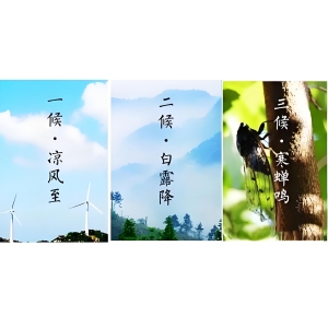 今日立秋 | 立秋至 涼風起