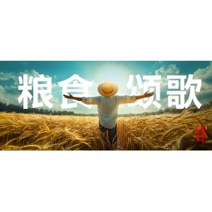 世界糧食日頌歌：醬香之魂，堅守“糧”心，不負“食”光