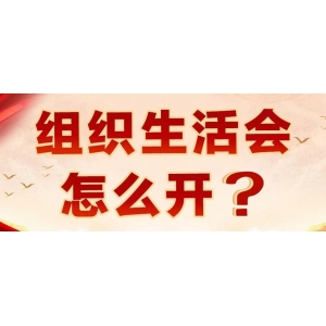 組織生活會怎么開？