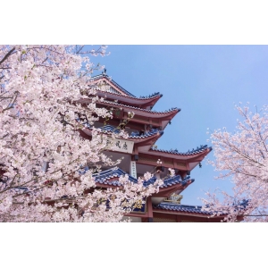 100首關(guān)于春天的詩(shī)詞，寫盡人間春色，共赴一場(chǎng)春日盛宴！