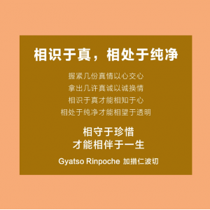 信任是交往的基石