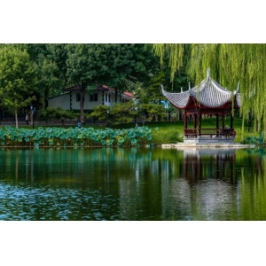 8首夏夜詩(shī)詞：我在等風(fēng)，也等你