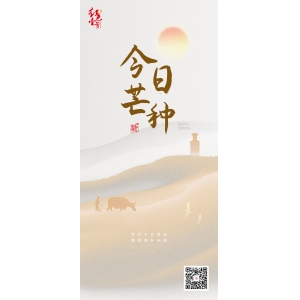 芒種：谷物之芒，生命之光 