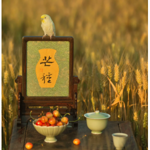 唐 · 元稹《詠廿四氣詩(shī) · 芒種五月節(jié) 》