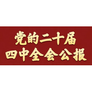 黨的二十屆四中全會(huì)公報(bào)一圖速覽