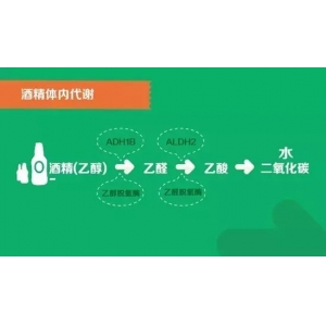 99%的人不知道的酒知識(shí)