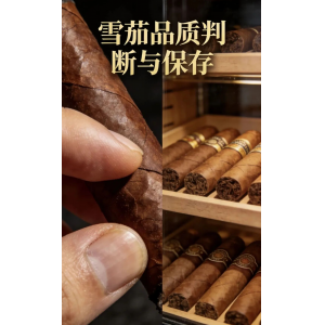 四個(gè)雪茄入門必知的知識