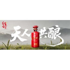 雨生百谷，酒潤萬物：谷雨醬香釀造的“天人共釀”