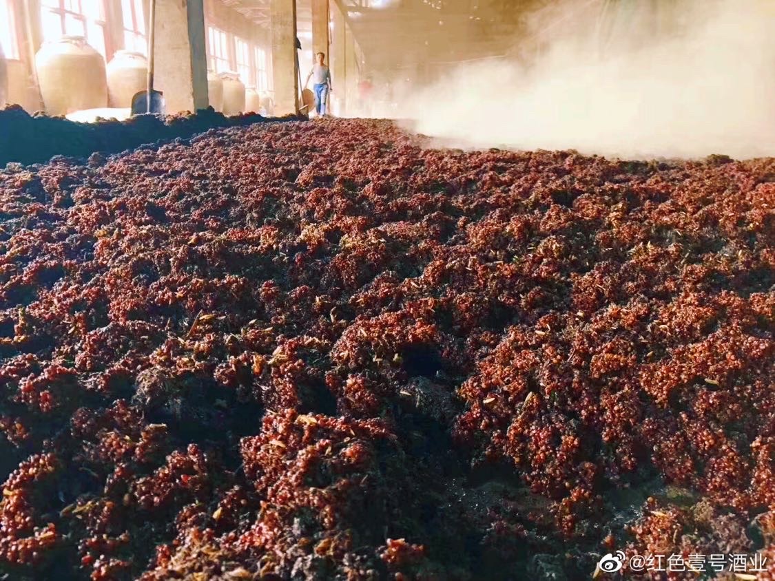 紅色壹號酒生產為什么要用整顆高粱(圖4) 紅色壹號酒生產為什么要用整顆高粱(圖3)