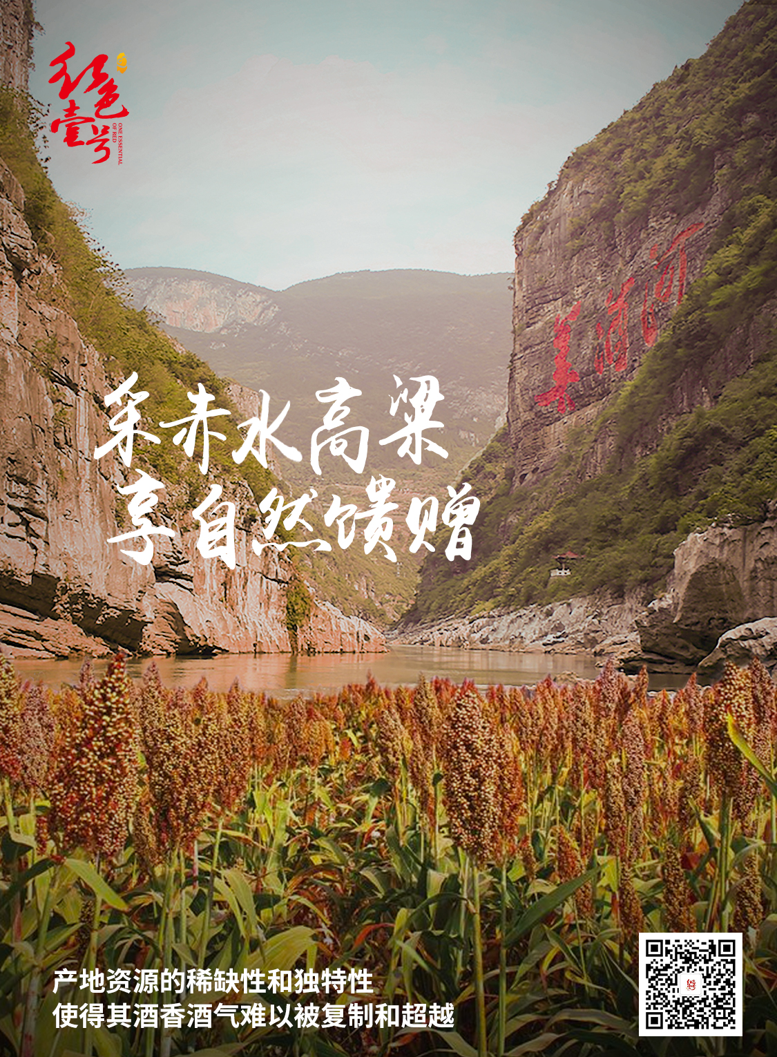 【醬酒知識(shí)】為什么喝醬酒越喝越健康？(圖5)