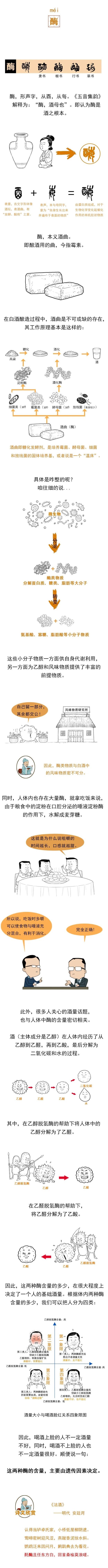 說“酶”：你的酒量取決于遺傳？(圖1)