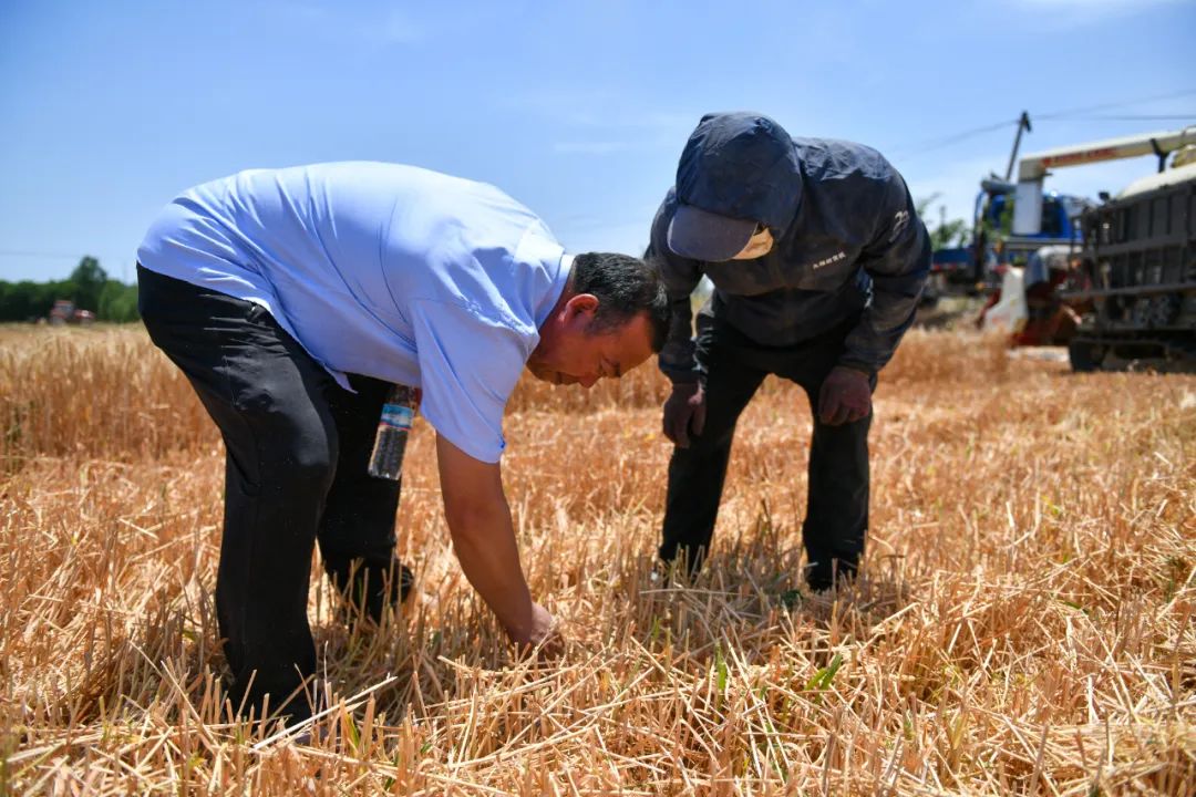 農(nóng)業(yè)農(nóng)村部：解決承包地細碎化分為兩種路徑(圖3)