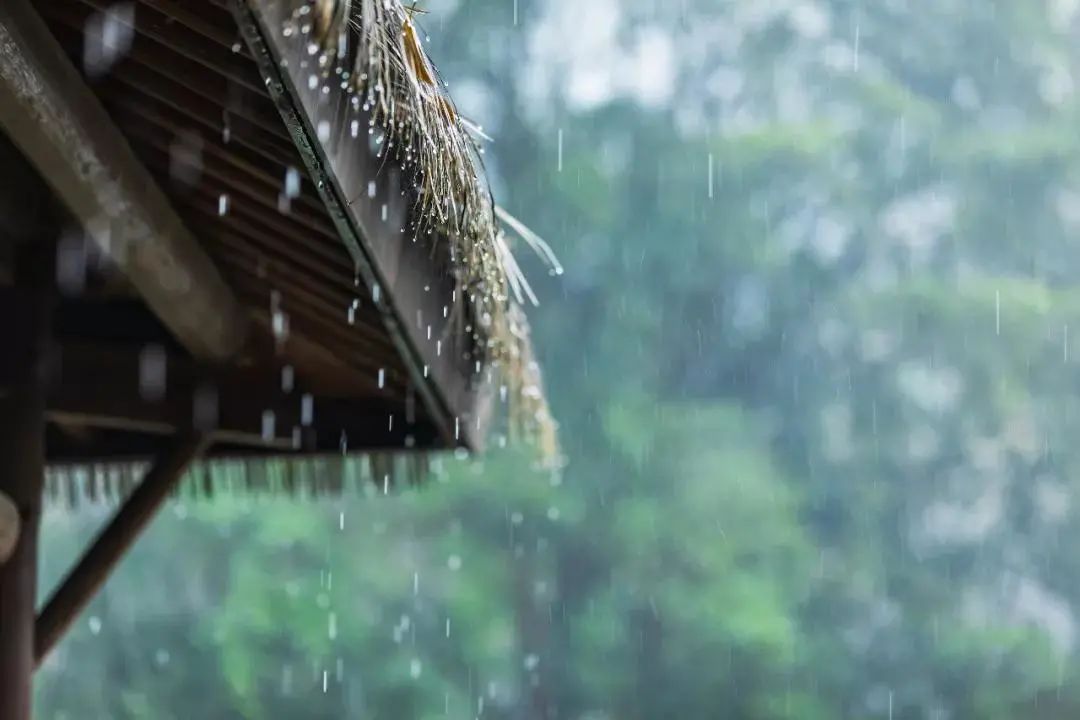 聽雨聞香，再喝一壺不求解渴的酒(圖1)