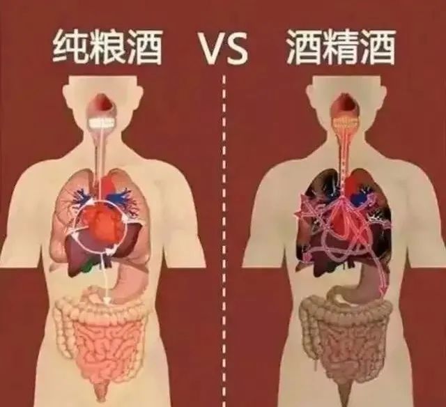 為什么喝了有些酒后，會(huì)頭疼欲裂呢？(圖11)